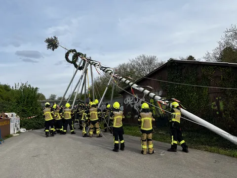 Maibaum_2023_01.jpg
